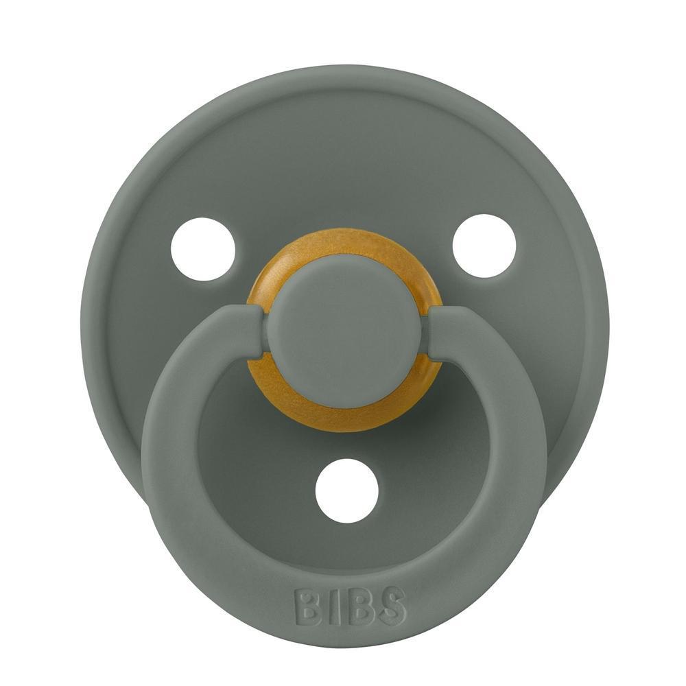 BIBS Colour Anatomical - Pine-